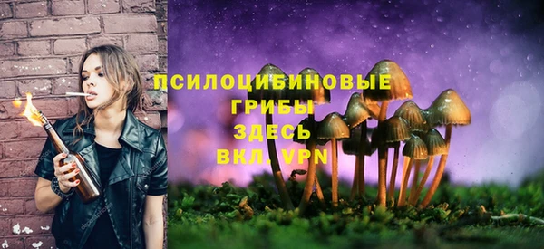 прущие крисы Кинешма