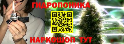 apvp Ирбит