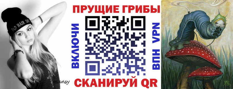 Галлюциногенные грибы Cubensis Купить Лениногорск